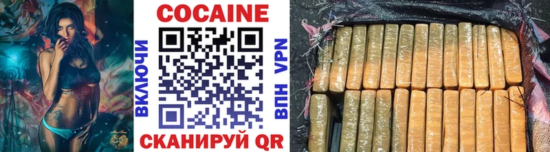 Кокаин FishScale  MEGA маркетплейс  Краснослободск  купить  